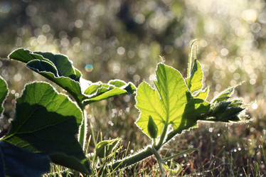 Similar image 10495707