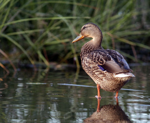 Similar image 10495714