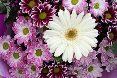 Similar image 10495719