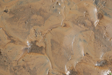 Similar image 10495728