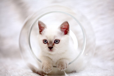 Similar image 10495736