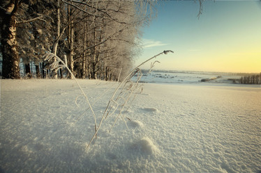 Similar image 10495743