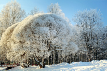 Similar image 10495753