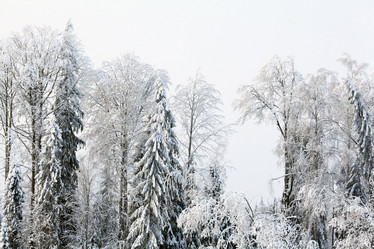 Similar image 10495755