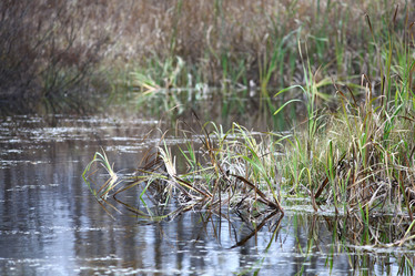 Similar image 10495758