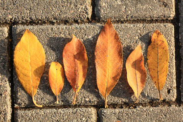 Similar image 10495761