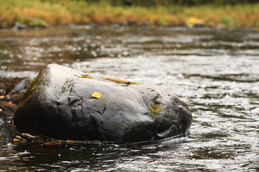 Similar image 10495763