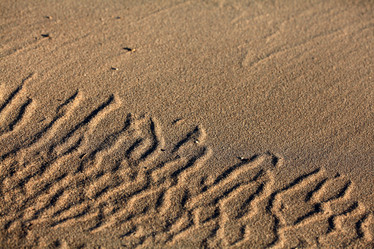 Similar image 10495768