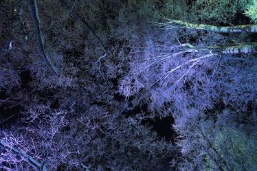 Similar image 10495770