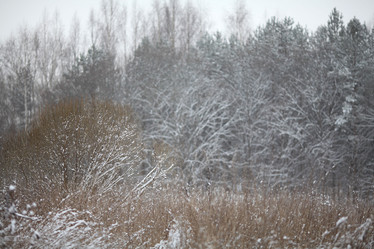 Similar image 10495771