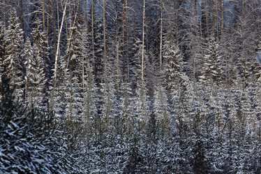 Similar image 10495774