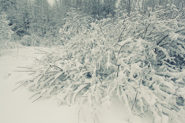 Similar image 10495777