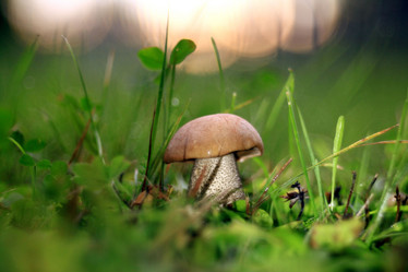 Similar image 10495779