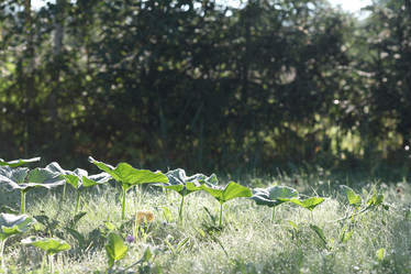 Similar image 10495780