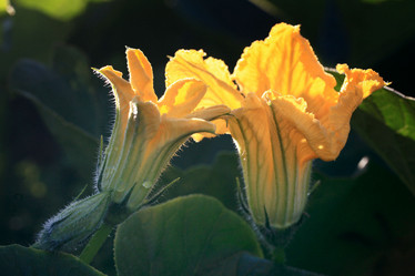 Similar image 10495791