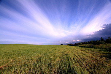 Similar image 10495795