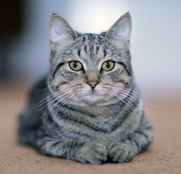 Similar image 10495797