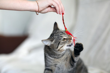 Similar image 10495804