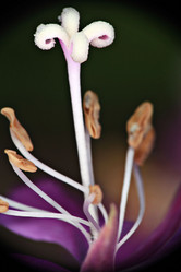 Similar image 10495807