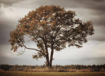 Similar image 10495812