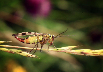 Similar image 10495813