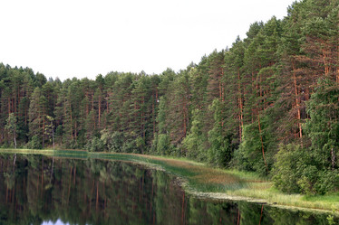 Similar image 10495815