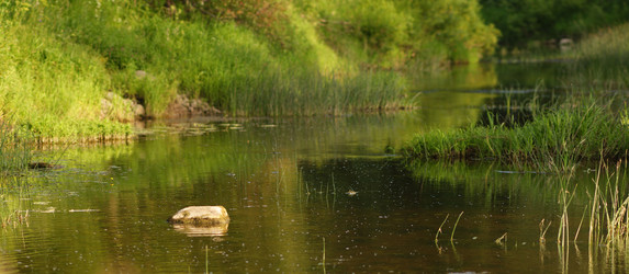 Similar image 10495820