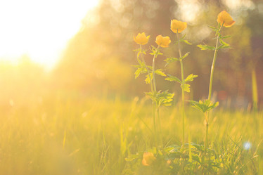 Similar image 10495836