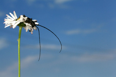 Similar image 10495839