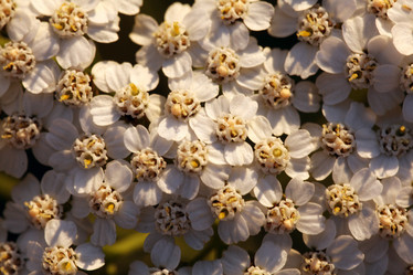 Similar image 10495840