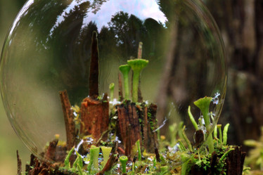 Similar image 10495848