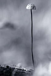 Similar image 10495849