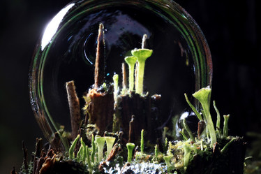 Similar image 10495850