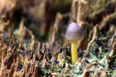 Similar image 10495851