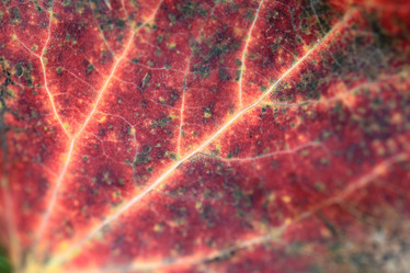 Similar image 10495854