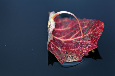 Similar image 10495856