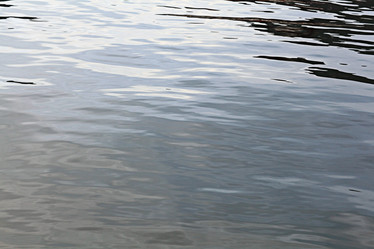 Similar image 10495860