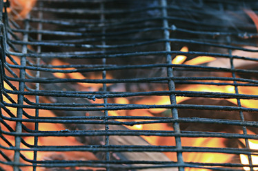 Similar image 10495873