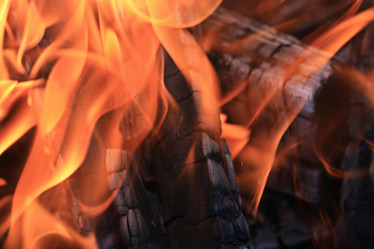 Similar image 10495877