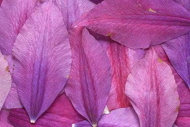 Similar image 10495880