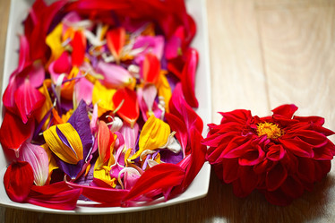 Similar image 10495884