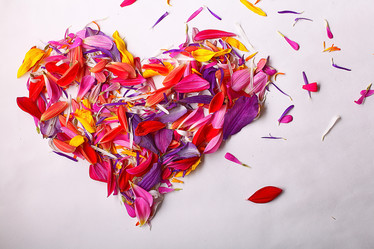 Similar image 10495886