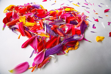 Similar image 10495887