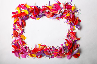 Similar image 10495888