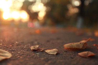 Similar image 10495892