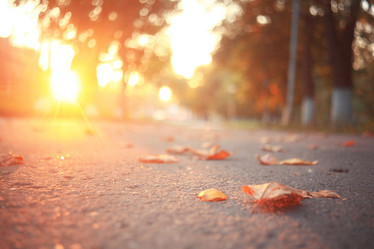 Similar image 10495893