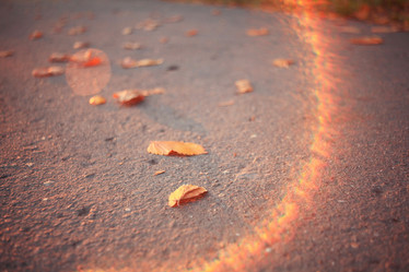 Similar image 10495894