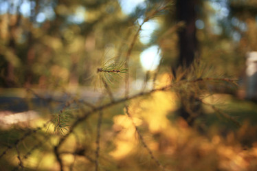 Similar image 10495895