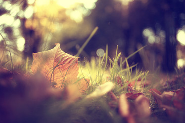 Similar image 10495897