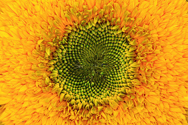 Similar image 10495917